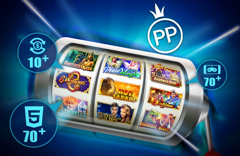 PP电子平台概述与发展历史