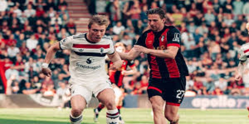 凯利的技术画像与即战力评估- PP电子